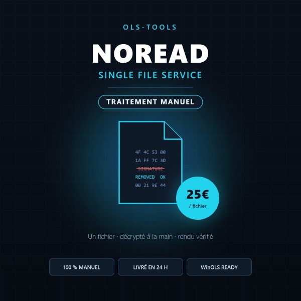 noread-single-file-service-v3 NOREAD Single File Service